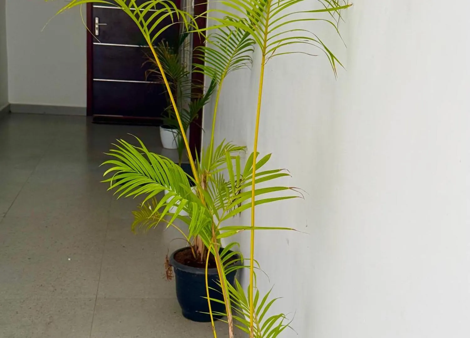 Vista Lux Apartment Kottayam